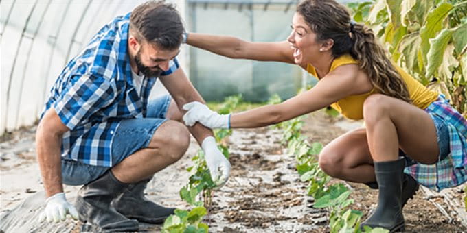 Mann und Frau im Gewächshaus Mann und Frau im Gewächshaus