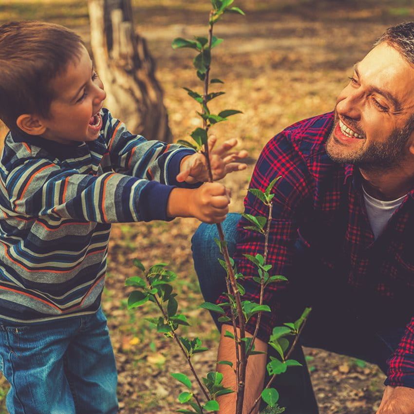 Ein Kind und ein Erwachsener pflanzen gemeinsam einen kleinen Baum im Wald. Ein Kind und ein Erwachsener pflanzen gemeinsam einen kleinen Baum im Wald.