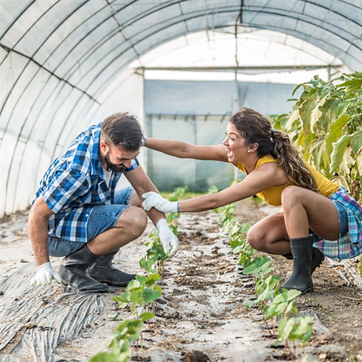 Mann und Frau im Gewächshaus Mann und Frau im Gewächshaus