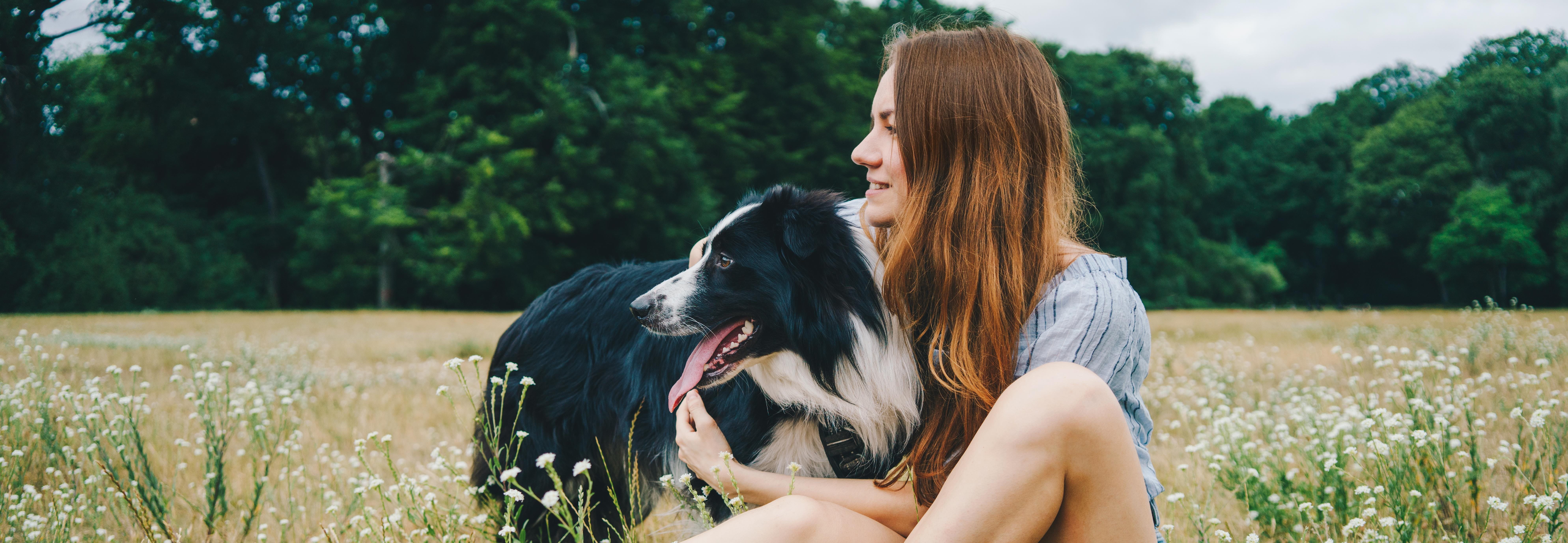 Young woman playing with a Border Collie dog in the park Young woman playing with a Border Collie dog in the park