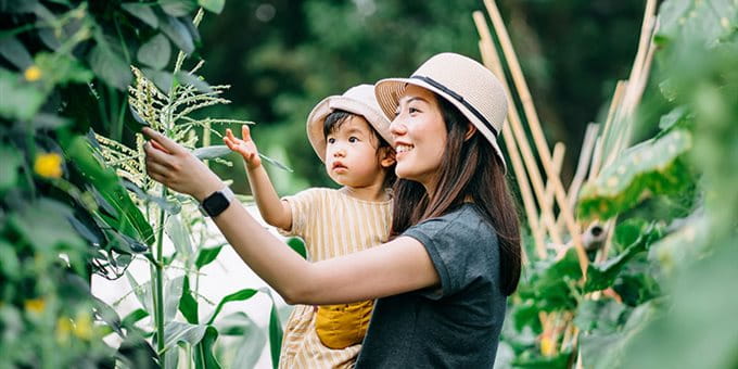 A woman showing a tree to a child A woman showing a tree to a child